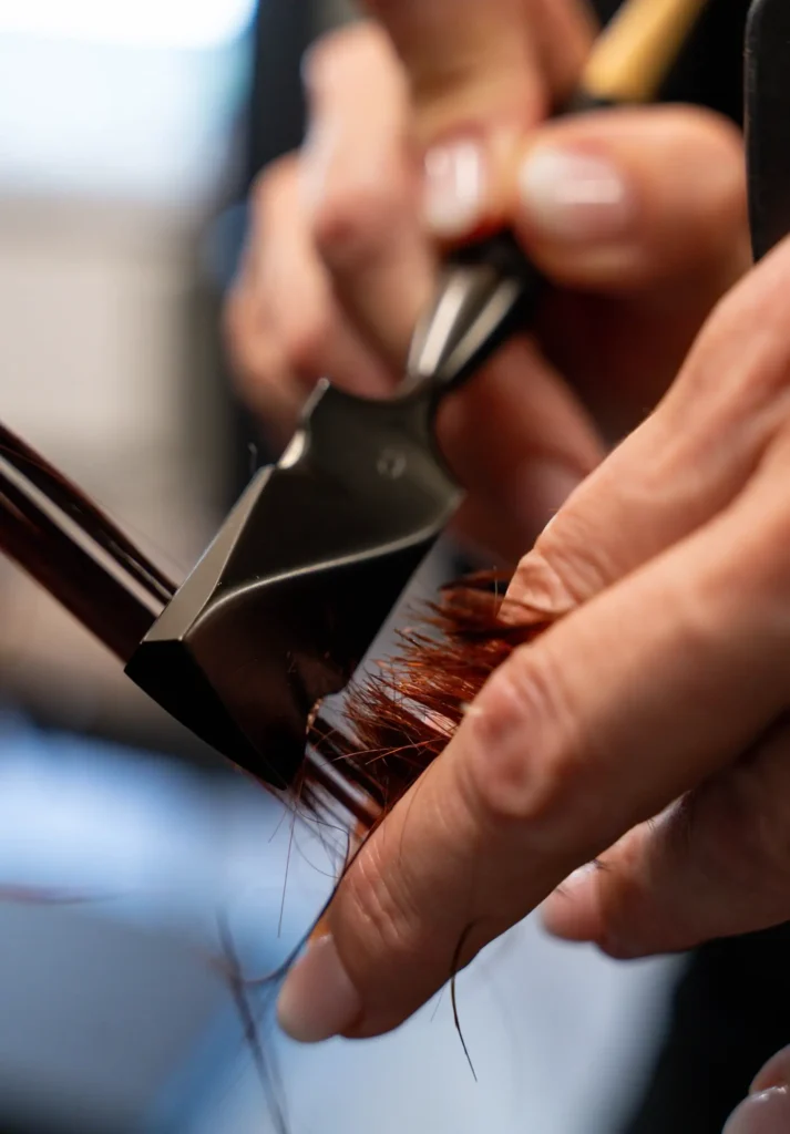 Calligraphy Cut